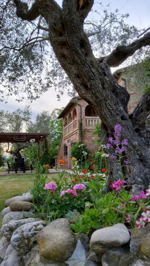 Agriturismo Terralieta 阿布鲁齐的罗塞托 外观 照片