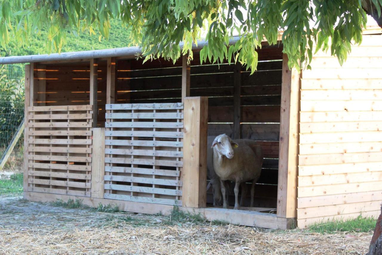 Agriturismo Terralieta 阿布鲁齐的罗塞托 外观 照片